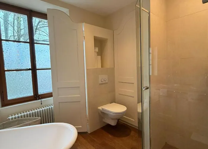 Luxury Lakeview Willa Prangins