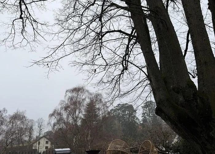 Luxury Lakeview Willa *